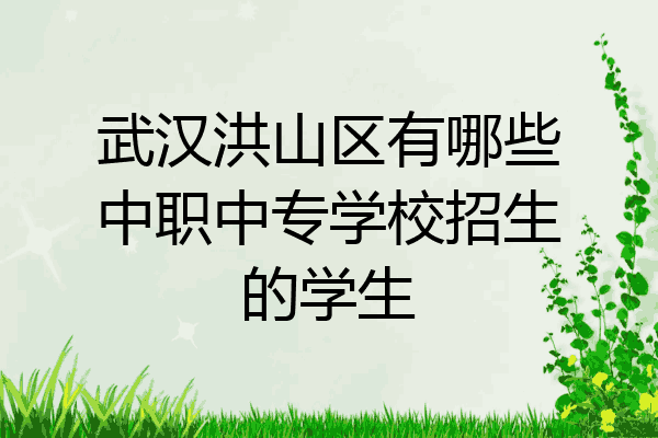 武汉洪山区有哪些中职中专学校招生的学生