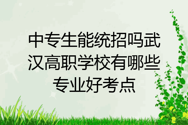 中专生能统招吗武汉高职学校有哪些专业好考点
