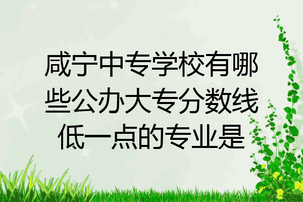 咸宁中专学校有哪些公办大专分数线低一点的专业是