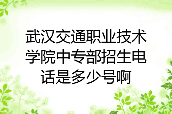 武汉交通职业技术学院中专部招生电话是多少号啊