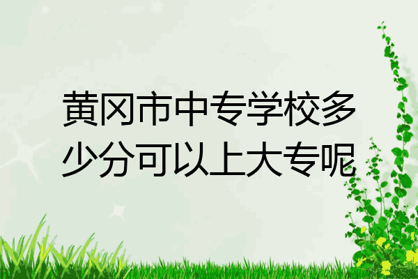 黄冈市中专学校多少分可以上大专呢