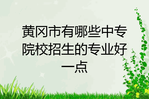 黄冈市有哪些中专院校招生的专业好一点