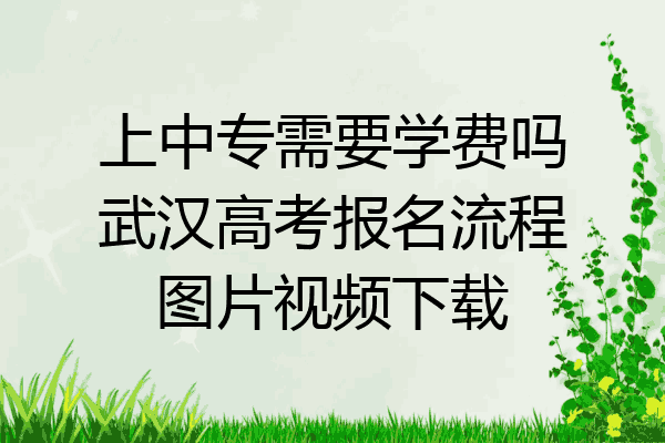 上中专需要学费吗武汉高考报名流程图片视频下载