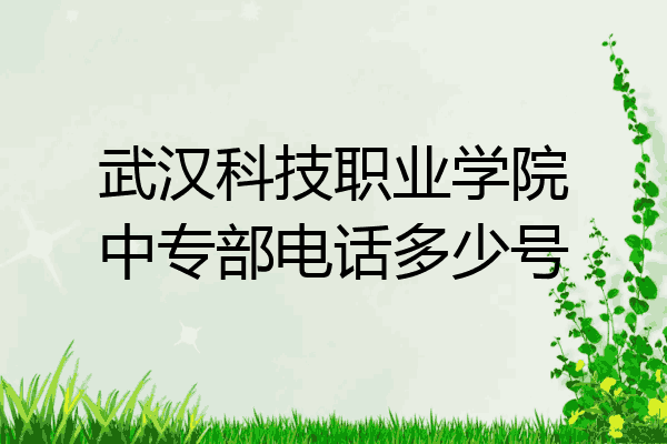 武汉科技职业学院中专部电话多少号