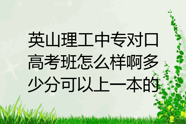 英山理工中专对口高考班怎么样啊多少分可以上一本的