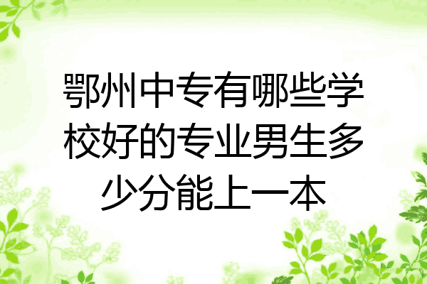 鄂州中专有哪些学校好的专业男生多少分能上一本