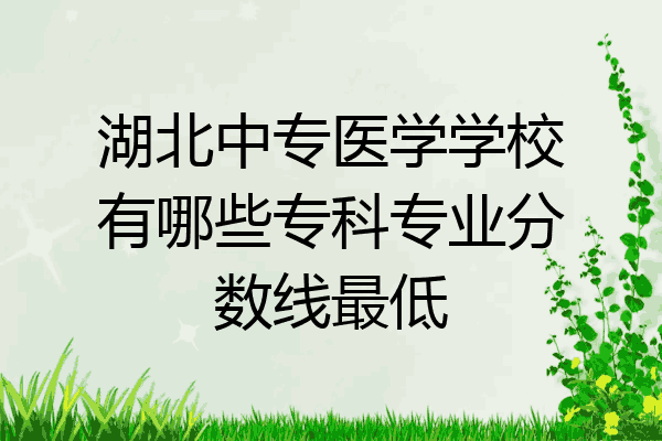 湖北中专医学学校有哪些专科专业分数线最低