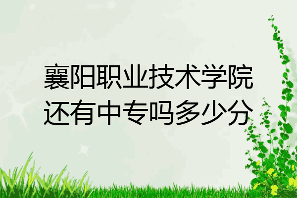 襄阳职业技术学院还有中专吗多少分