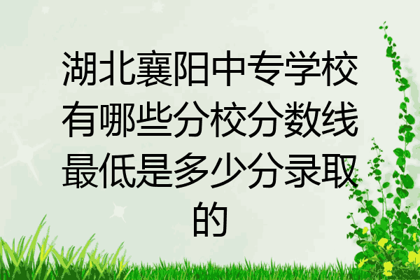 湖北襄阳中专学校有哪些分校分数线最低是多少分录取的