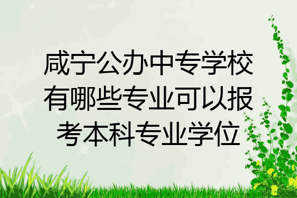 咸宁公办中专学校有哪些专业可以报考本科专业学位