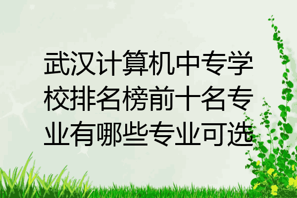 武汉计算机中专学校排名榜前十名专业有哪些专业可选