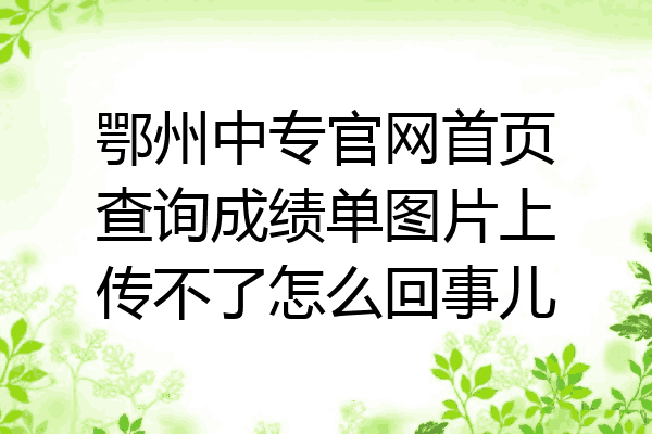 鄂州中专官网首页查询成绩单图片上传不了怎么回事儿