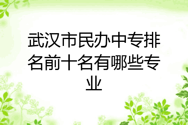 武汉市民办中专排名前十名有哪些专业