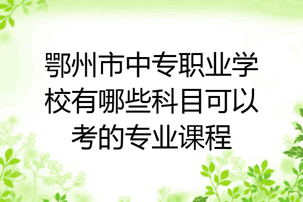 鄂州市中专职业学校有哪些科目可以考的专业课程