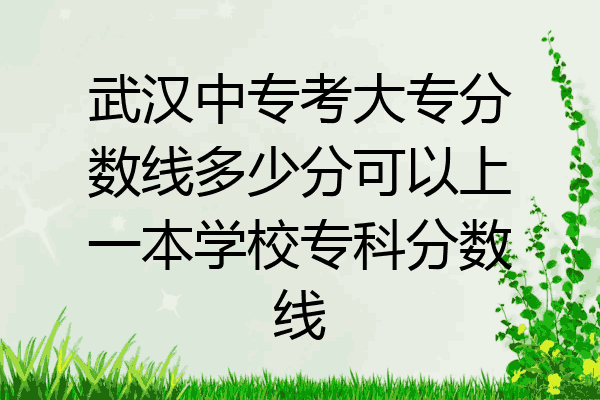 武汉中专考大专分数线多少分可以上一本学校专科分数线