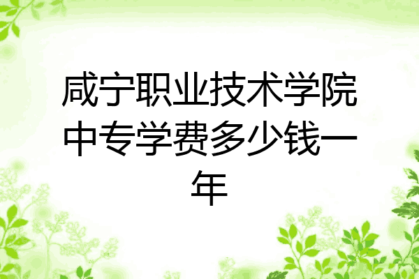 咸宁职业技术学院中专学费多少钱一年