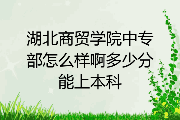 湖北商贸学院中专部怎么样啊多少分能上本科