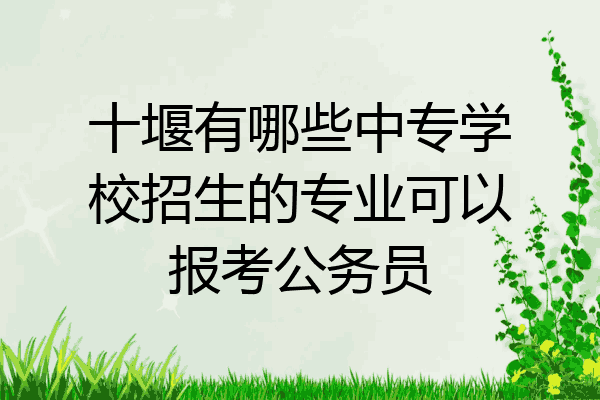 十堰有哪些中专学校招生的专业可以报考公务员