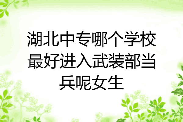 湖北中专哪个学校最好进入武装部当兵呢女生