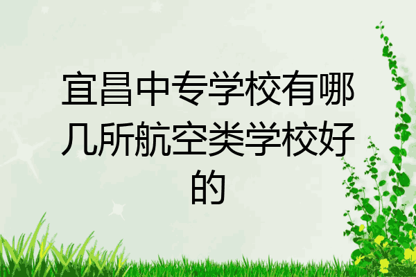宜昌中专学校有哪几所航空类学校好的
