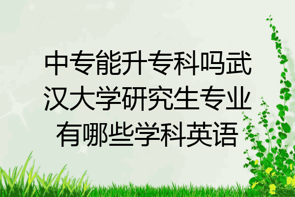 中专能升专科吗武汉大学研究生专业有哪些学科英语