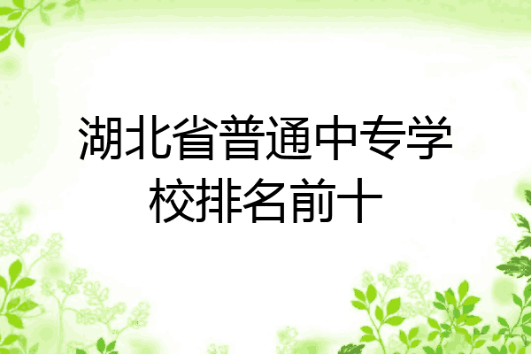 湖北省普通中专学校排名前十