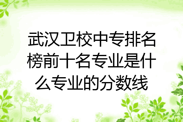 武汉卫校中专排名榜前十名专业是什么专业的分数线