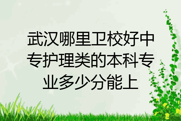 武汉哪里卫校好中专护理类的本科专业多少分能上