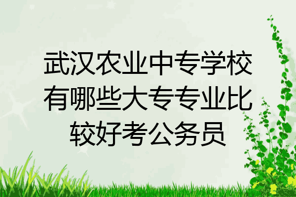 武汉农业中专学校有哪些大专专业比较好考公务员