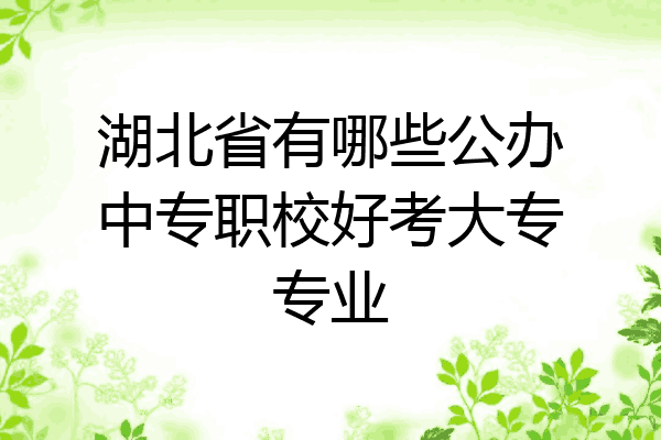 湖北省有哪些公办中专职校好考大专专业