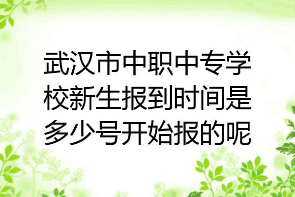 武汉市中职中专学校新生报到时间是多少号开始报的呢