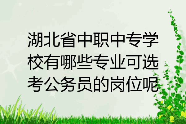 湖北省中职中专学校有哪些专业可选考公务员的岗位呢