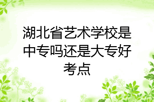 湖北省艺术学校是中专吗还是大专好考点