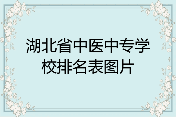 湖北省中医中专学校排名表图片