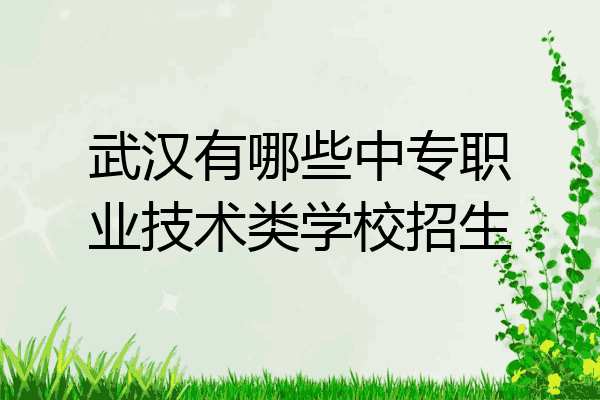 武汉有哪些中专职业技术类学校招生