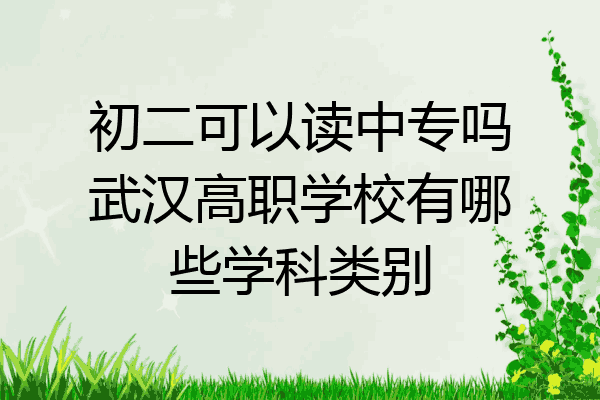 初二可以读中专吗武汉高职学校有哪些学科类别
