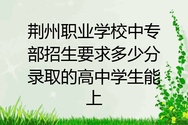 荆州职业学校中专部招生要求多少分录取的高中学生能上