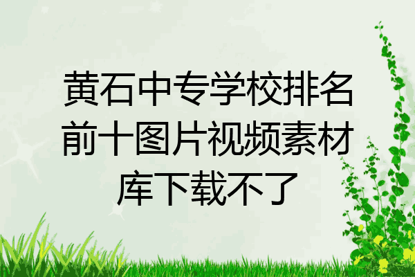 黄石中专学校排名前十图片视频素材库下载不了