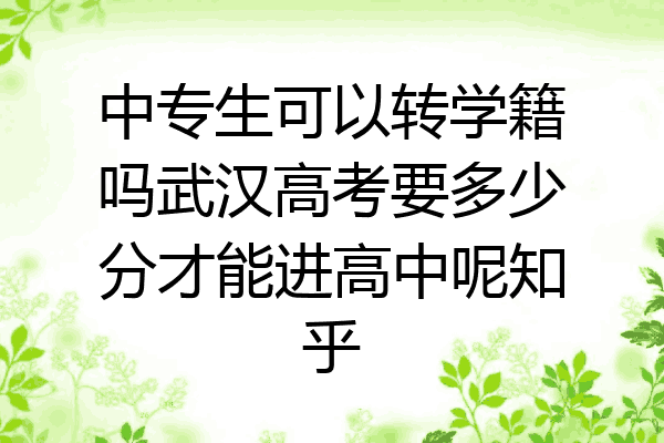 中专生可以转学籍吗武汉高考要多少分才能进高中呢知乎