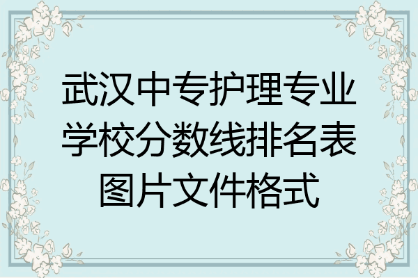 武汉中专护理专业学校分数线排名表图片文件格式