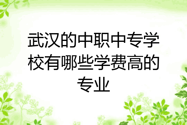武汉的中职中专学校有哪些学费高的专业