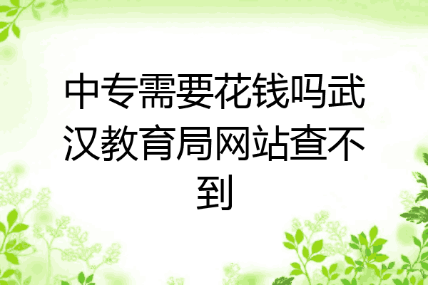 中专需要花钱吗武汉教育局网站查不到