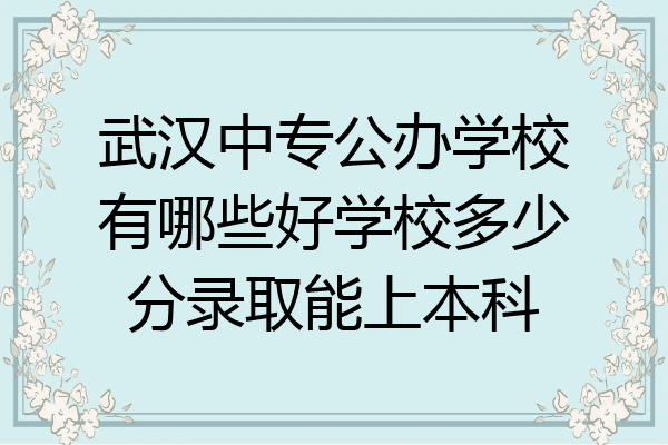 武汉中专公办学校有哪些好学校多少分录取能上本科