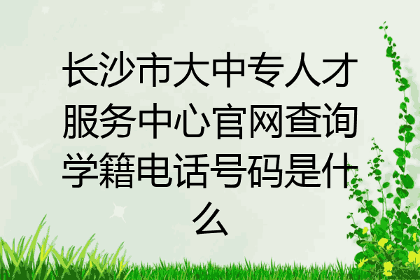 长沙市大中专人才服务中心官网查询学籍电话号码是什么