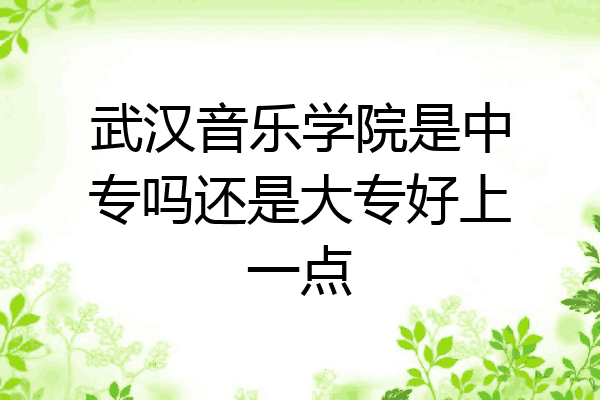 武汉音乐学院是中专吗还是大专好上一点
