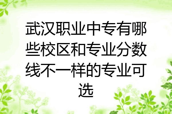 武汉职业中专有哪些校区和专业分数线不一样的专业可选