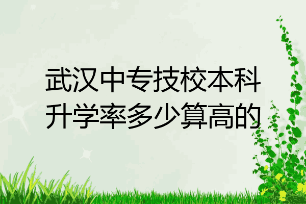 武汉中专技校本科升学率多少算高的