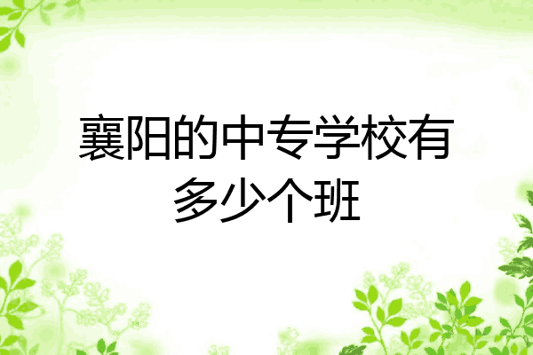 襄阳的中专学校有多少个班
