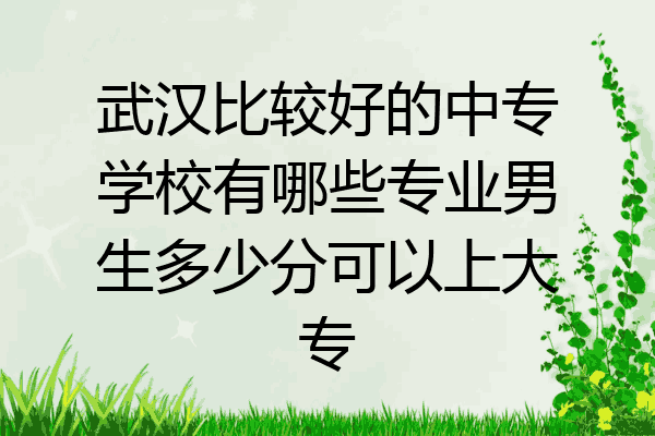 武汉比较好的中专学校有哪些专业男生多少分可以上大专