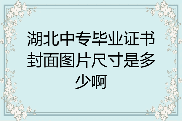 湖北中专毕业证书封面图片尺寸是多少啊